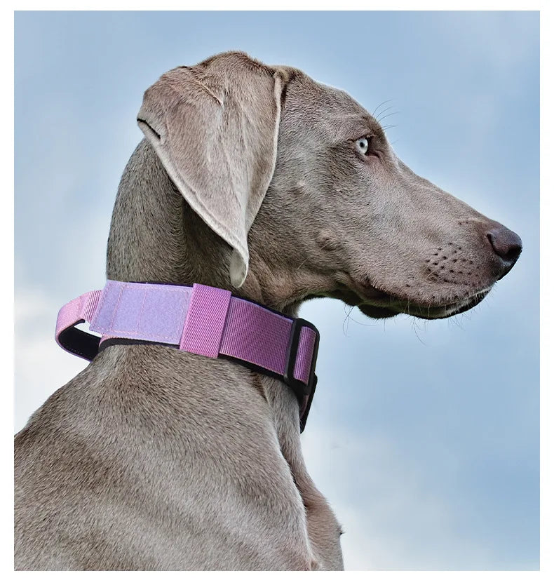 Tactical Dog Collar or Leash