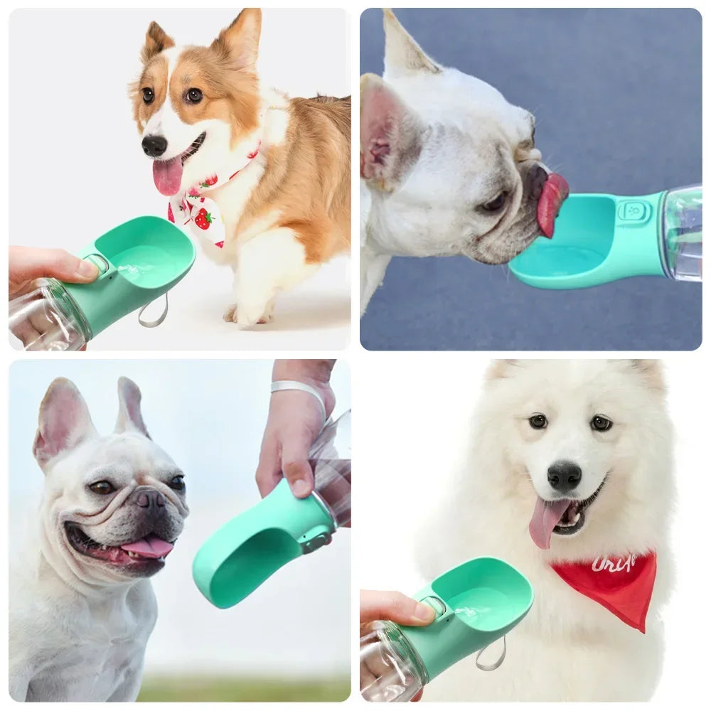 Dog & Cat Portable Water Bottle