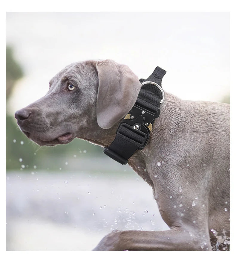 Tactical Dog Collar or Leash