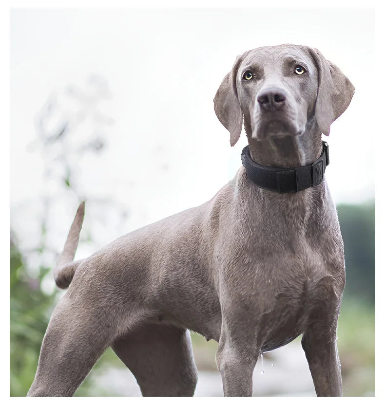 Tactical Dog Collar or Leash