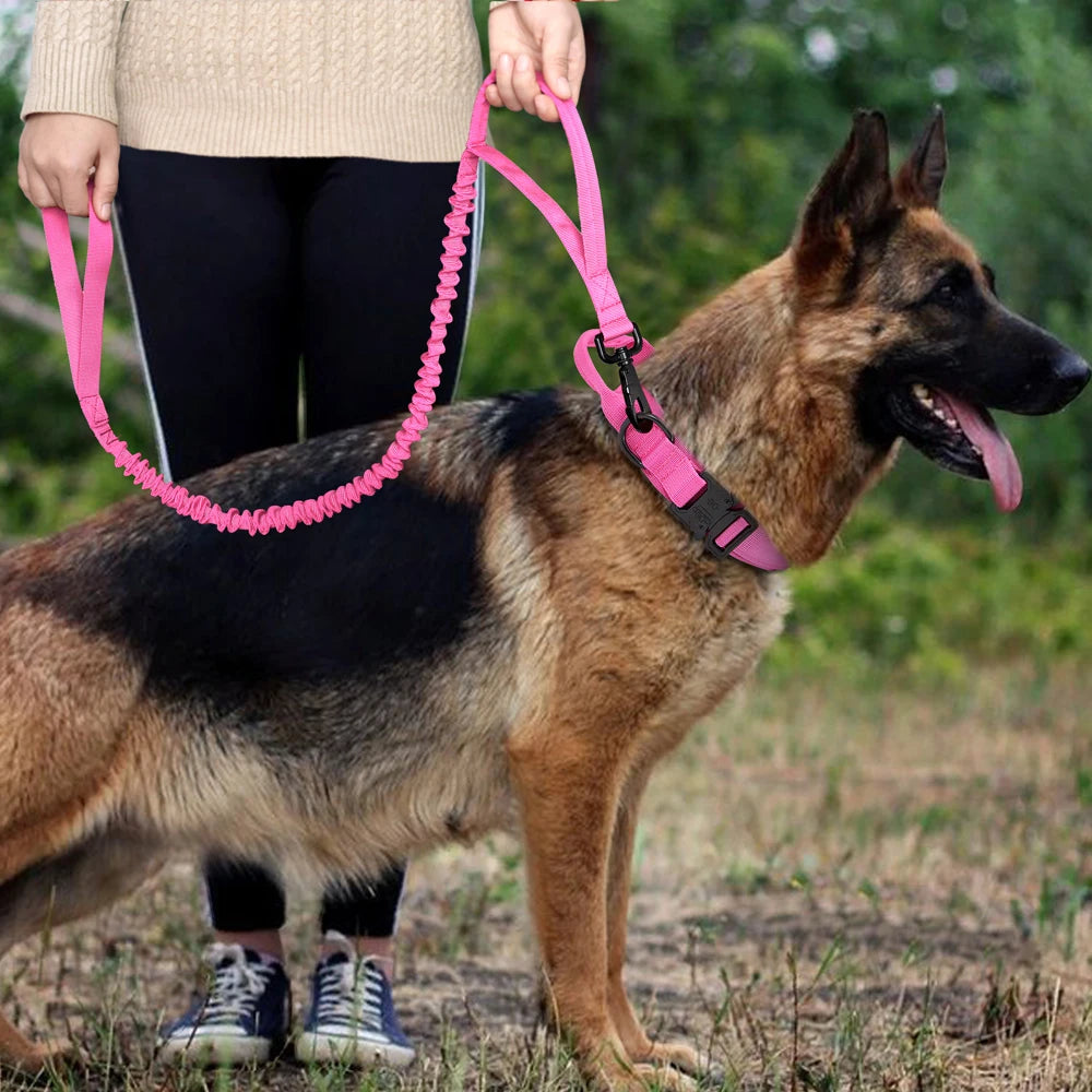 Tactical Dog Collar & Bungee Leash Set