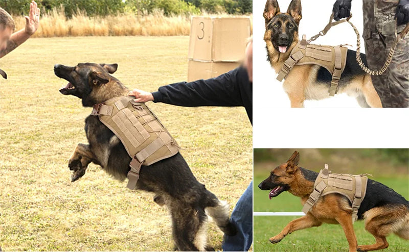 Tactical Dog Harness & Leash Set with Collar