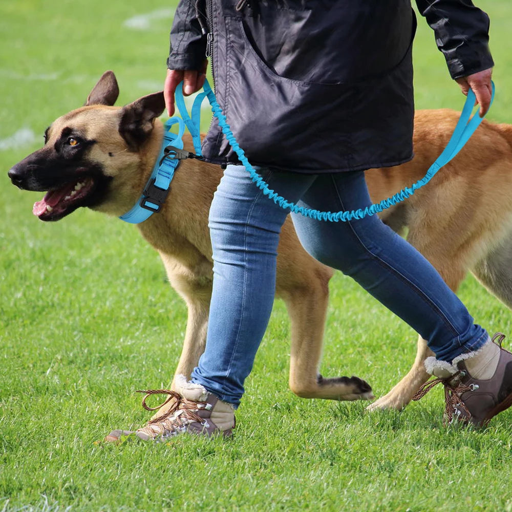 Tactical Dog Collar & Bungee Leash Set