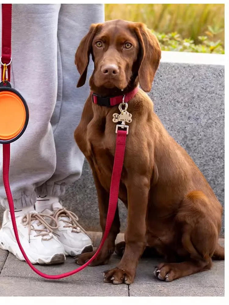 Collapsible Dog Travel Bowl