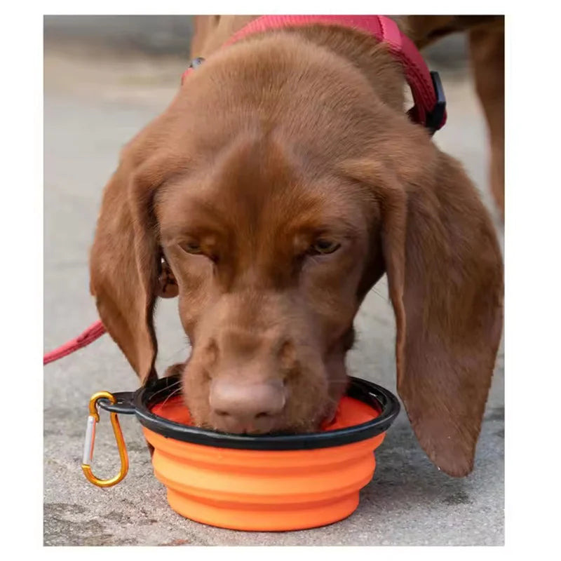 Collapsible Dog Travel Bowl