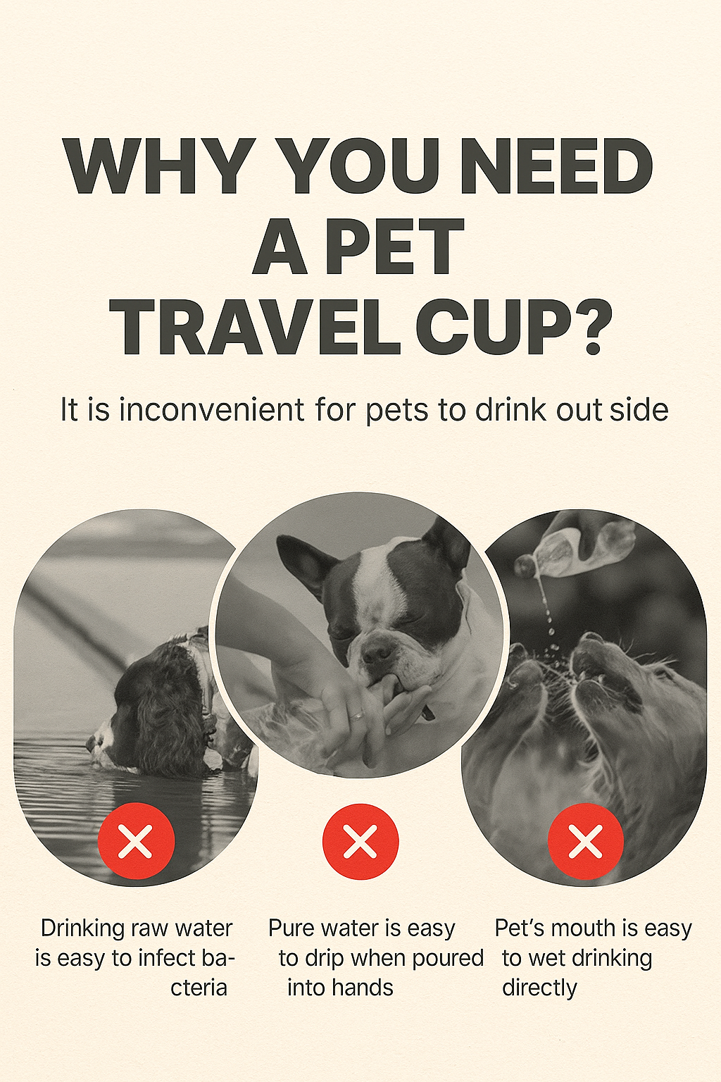 Dog & Cat Portable Water Bottle