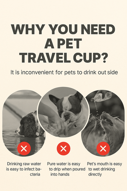 Dog & Cat Portable Water Bottle