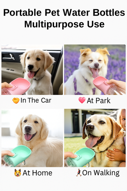 Dog & Cat Portable Water Bottle