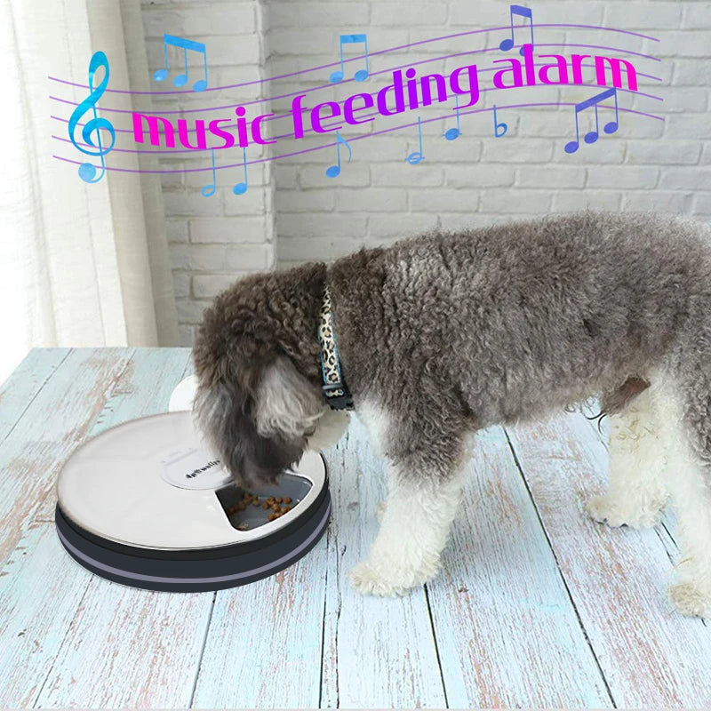 6-Meal Automatic Pet Feeder Dispenser