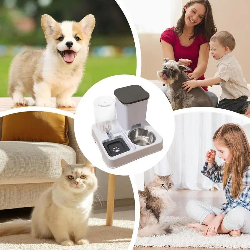 Automatic Cat & Dog Feeder & Water Dispenser