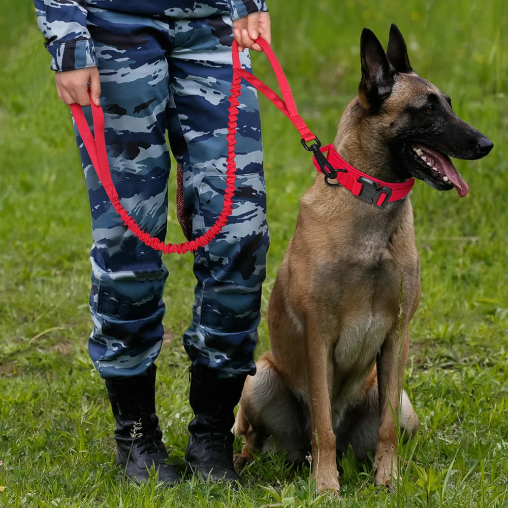 Tactical Dog Collar & Bungee Leash Set