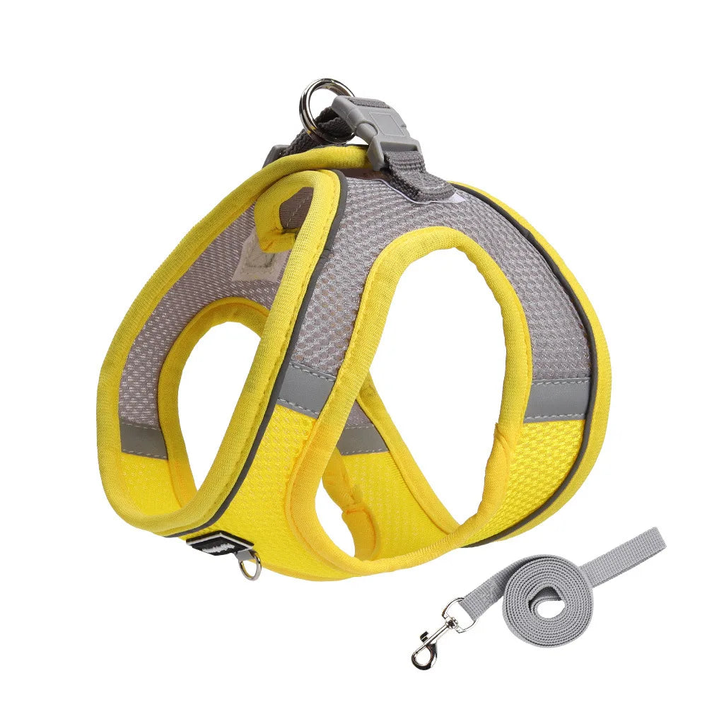 Adjustable Small Dog & Cat Harness Leash Set