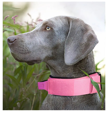 Tactical Dog Collar or Leash