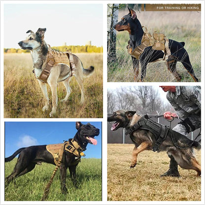 Tactical Dog Harness & Leash Set with Collar