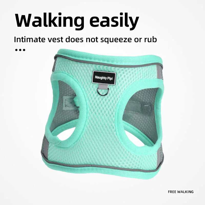 Adjustable Small Dog & Cat Harness Leash Set