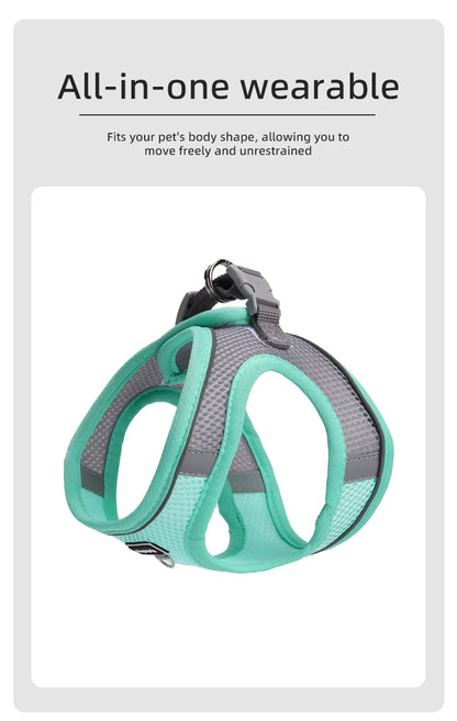 Adjustable Small Dog & Cat Harness Leash Set