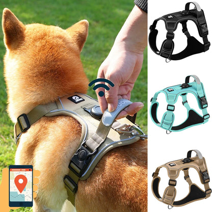 Air Tag Compatible Dog Harness