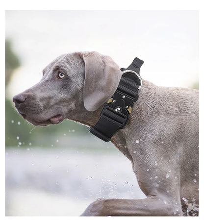 Tactical Dog Collar or Leash