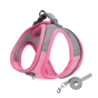 Adjustable Small Dog & Cat Harness Leash Set
