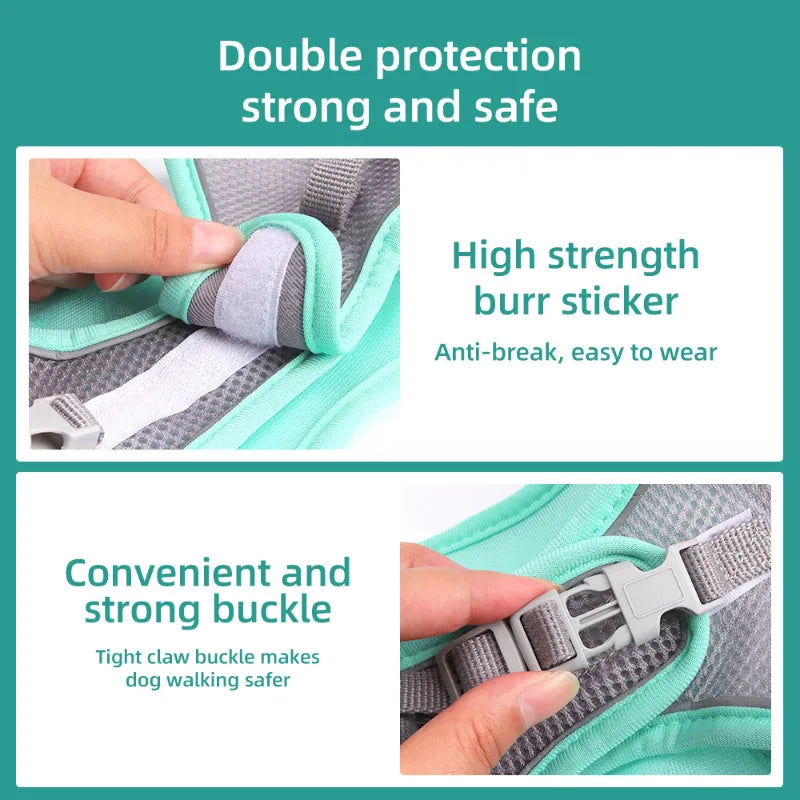 Adjustable Small Dog & Cat Harness Leash Set