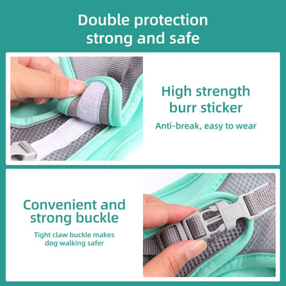 Adjustable Small Dog & Cat Harness Leash Set