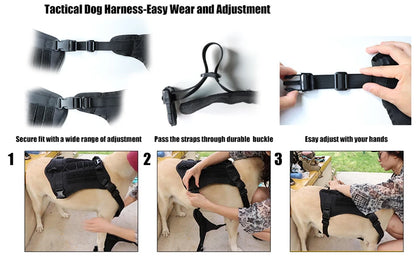 Tactical Dog Harness & Leash Set with Collar