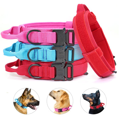 Tactical Dog Collar & Bungee Leash Set