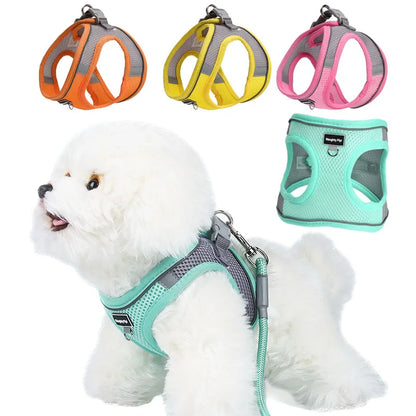 Adjustable Small Dog & Cat Harness Leash Set