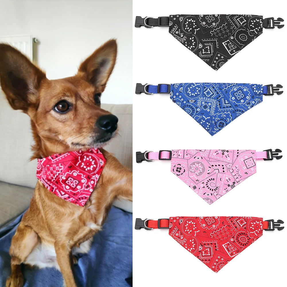 Dog & Cat Bandana Collar