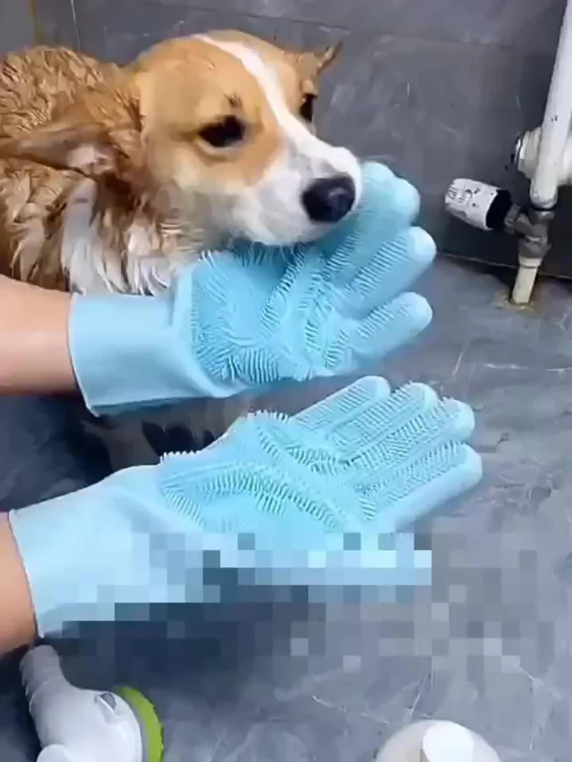 Pet Grooming Glove