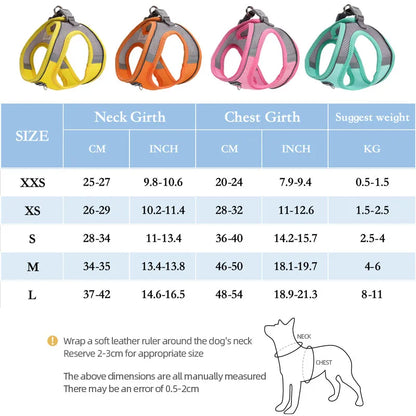 Adjustable Small Dog & Cat Harness Leash Set