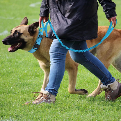 Tactical Dog Collar & Bungee Leash Set
