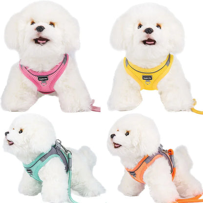 Adjustable Small Dog & Cat Harness Leash Set