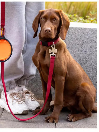 Collapsible Dog Travel Bowl