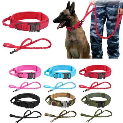 Tactical Dog Collar & Bungee Leash Set