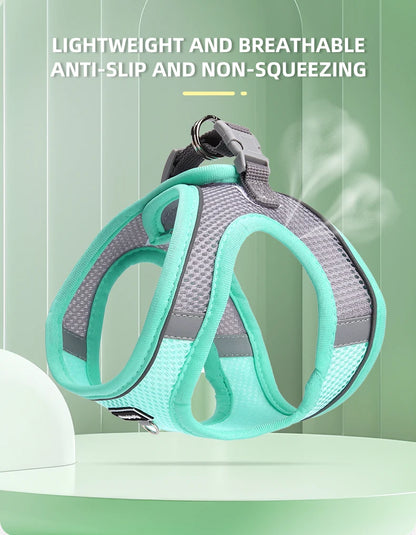 Adjustable Small Dog & Cat Harness Leash Set