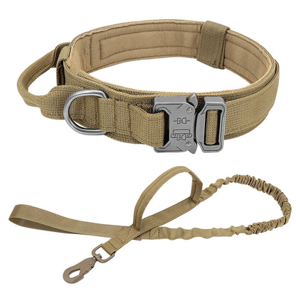 Tactical Dog Collar & Bungee Leash Set