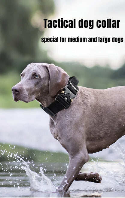 Tactical Dog Collar or Leash