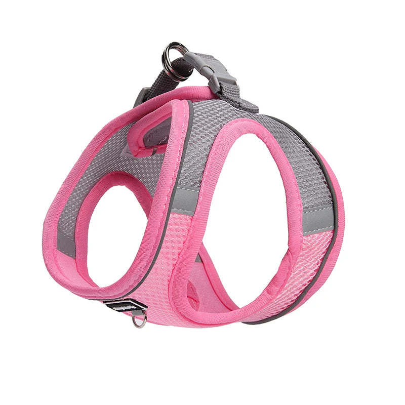 Adjustable Small Dog & Cat Harness Leash Set