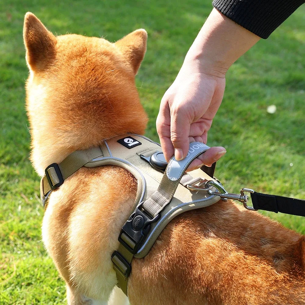 Air Tag Compatible Dog Harness