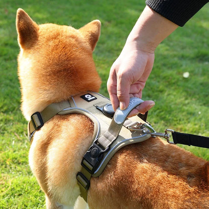 Air Tag Compatible Dog Harness