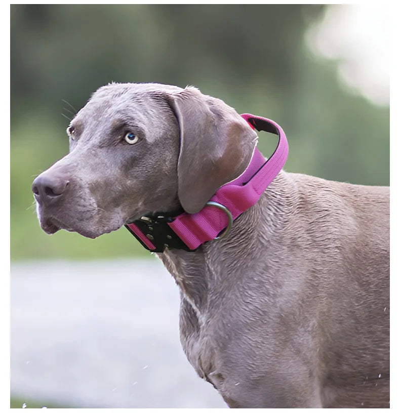 Tactical Dog Collar or Leash