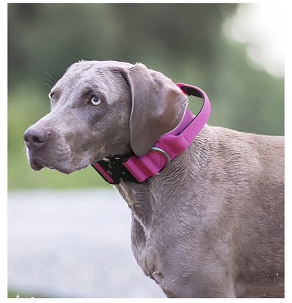 Tactical Dog Collar or Leash