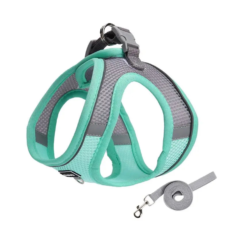 Adjustable Small Dog & Cat Harness Leash Set