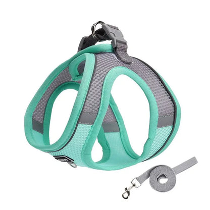 Adjustable Small Dog & Cat Harness Leash Set