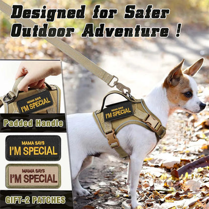 Tactical Dog Harness for Small Dogs