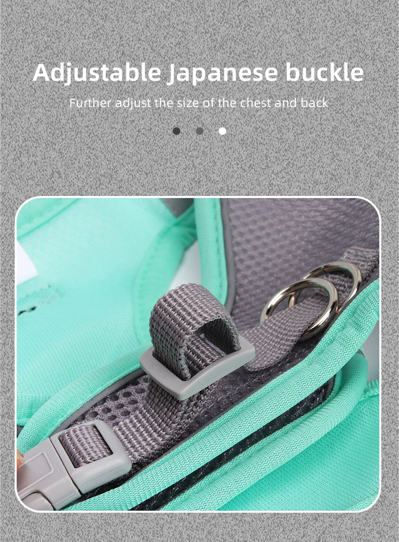 Adjustable Small Dog & Cat Harness Leash Set
