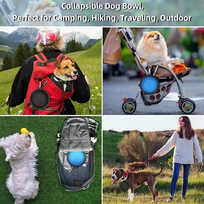 Collapsible Dog Travel Bowl