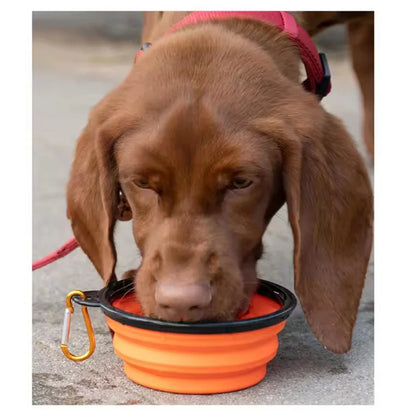 Collapsible Dog Travel Bowl