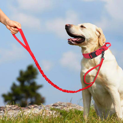 Tactical Dog Collar & Bungee Leash Set